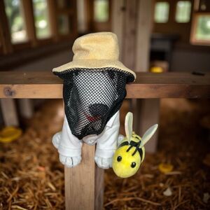 Target Dog Plush Bee Keeper Dog Stuffed Toy Bullseye